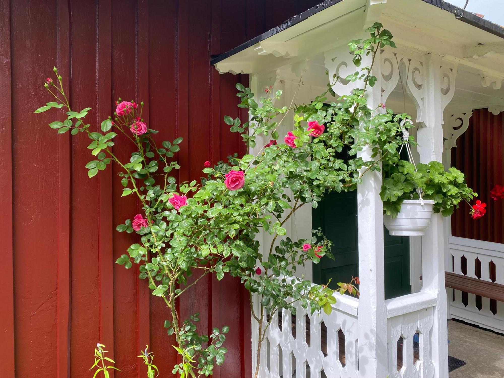 Stenbrottets Lillstuga Falköping المظهر الخارجي الصورة